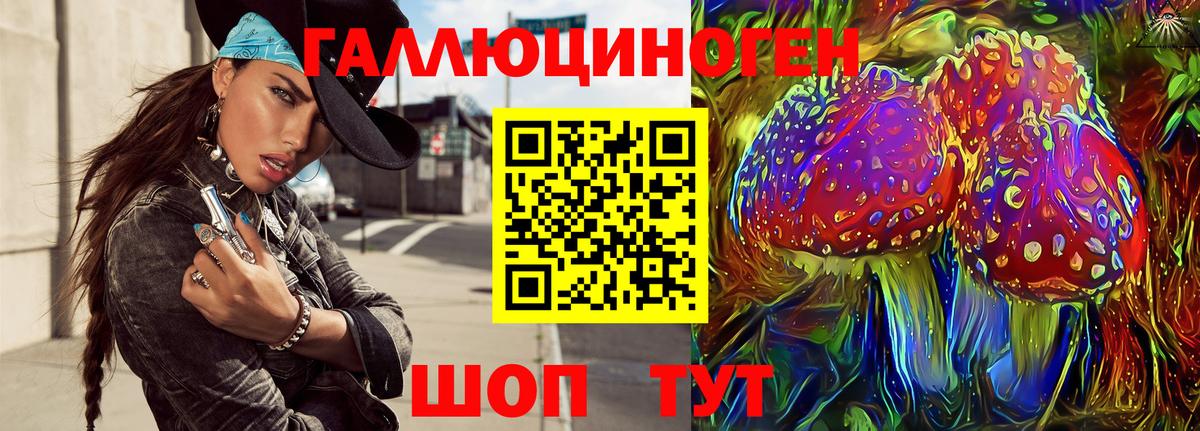 Псилоцибиновые грибы Psilocybe Дубна