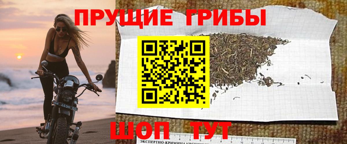 Галлюциногенные грибы мицелий  Вход с VPN  Дубна 